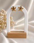 Pendientes Estrella